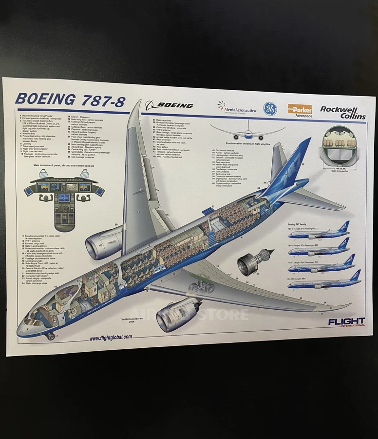Boeing B787-8 airplane Poster