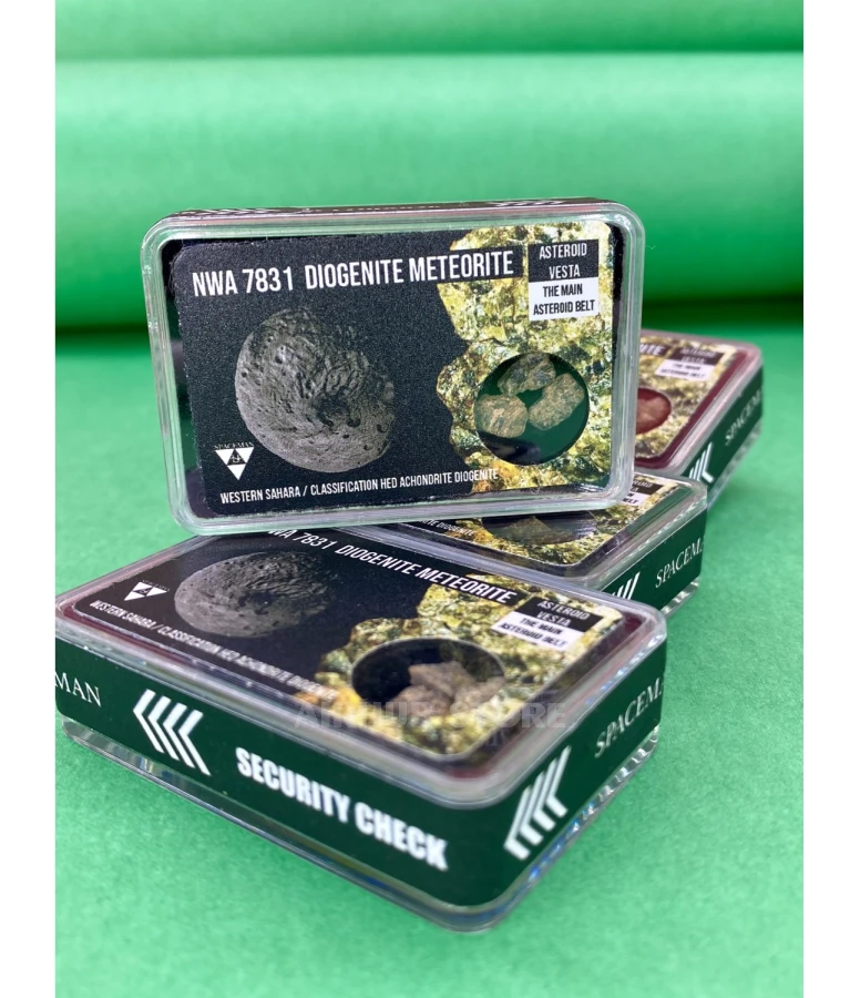 Northwest Africa 7831 meteorite