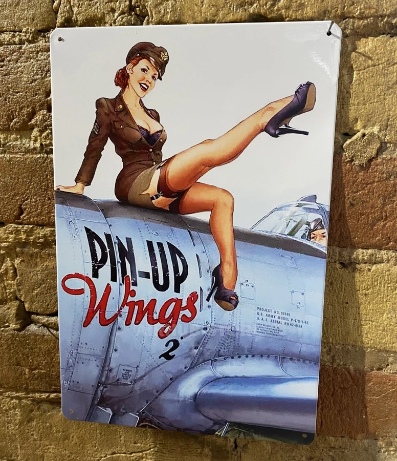 Pin Up Wings Poster
