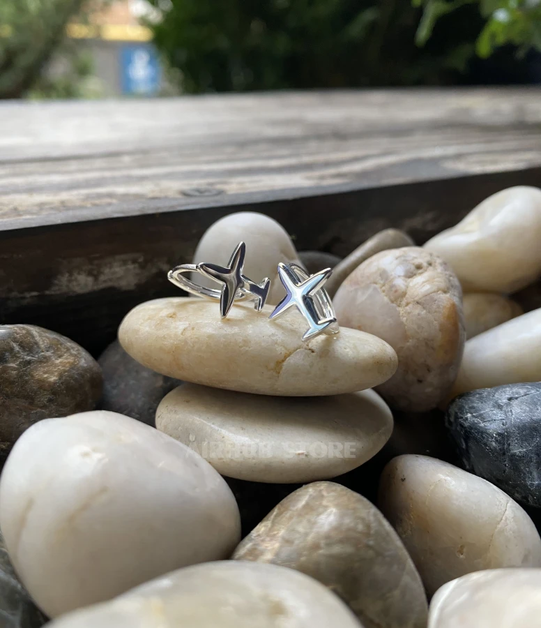 Mirrored airplane earrings