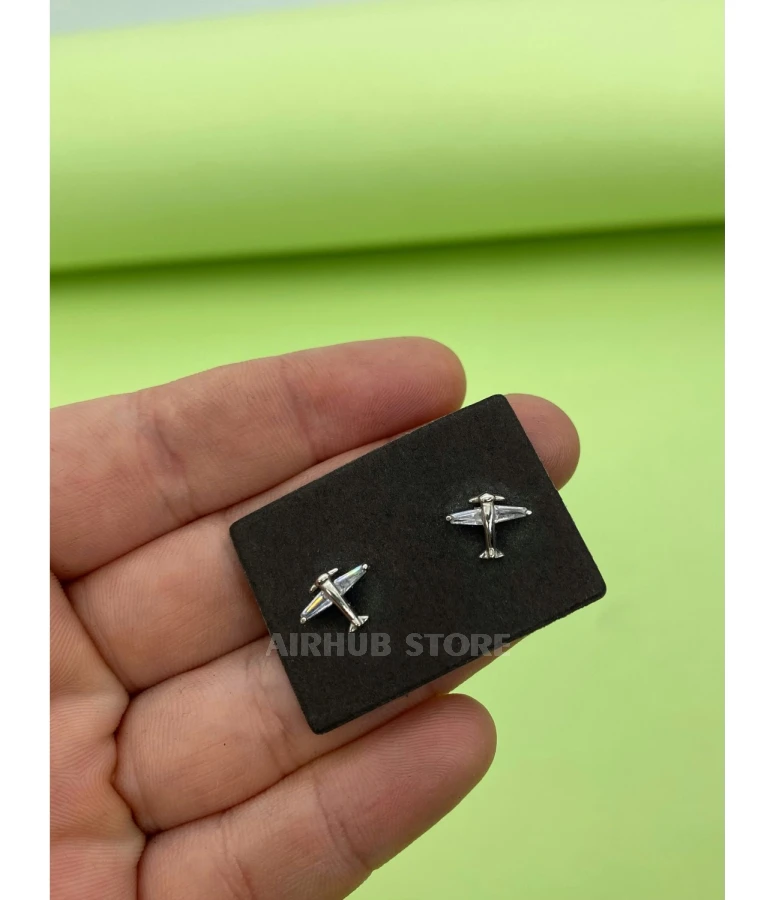 Glass wings Earrings