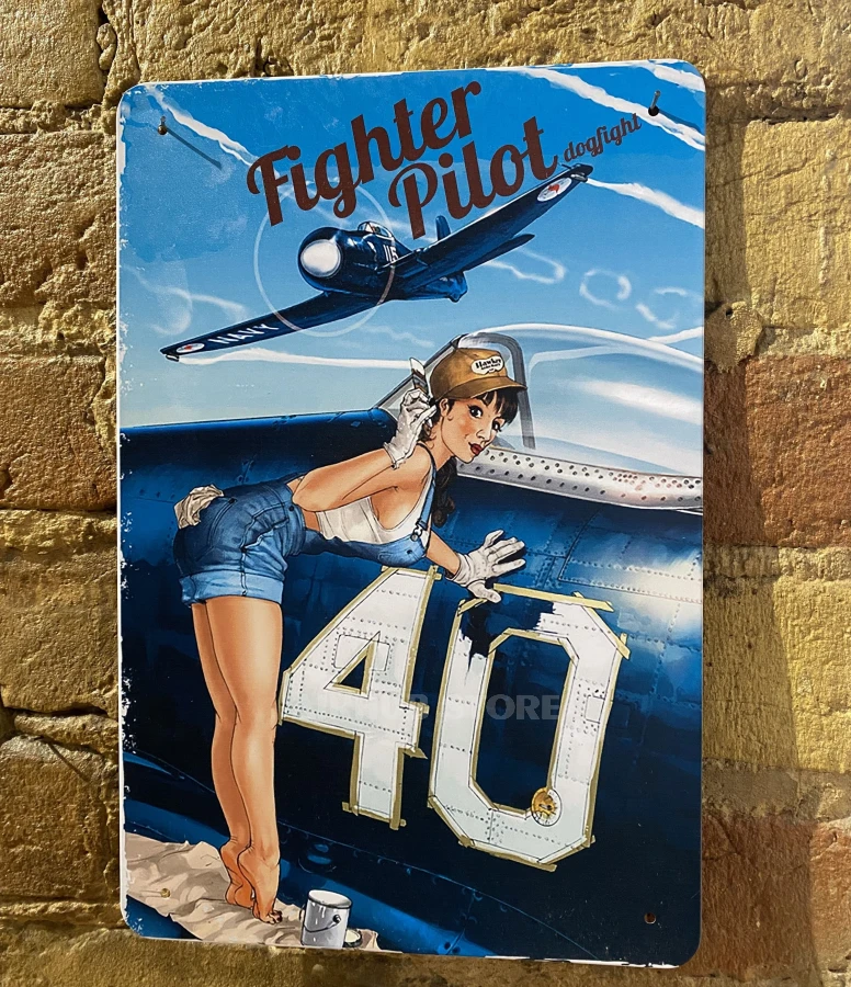 Fighter pilot Poster