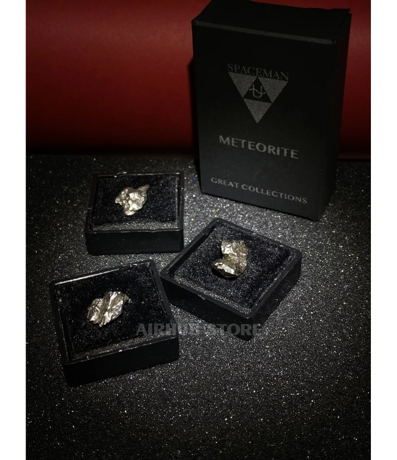 Campo del Cielo meteorite