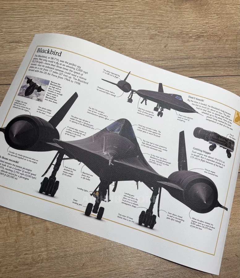 SR-71 Blackbird Poster