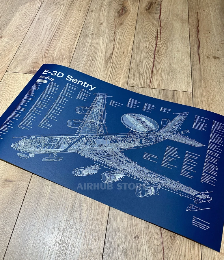 E-3D Sentry Poster Blueprint