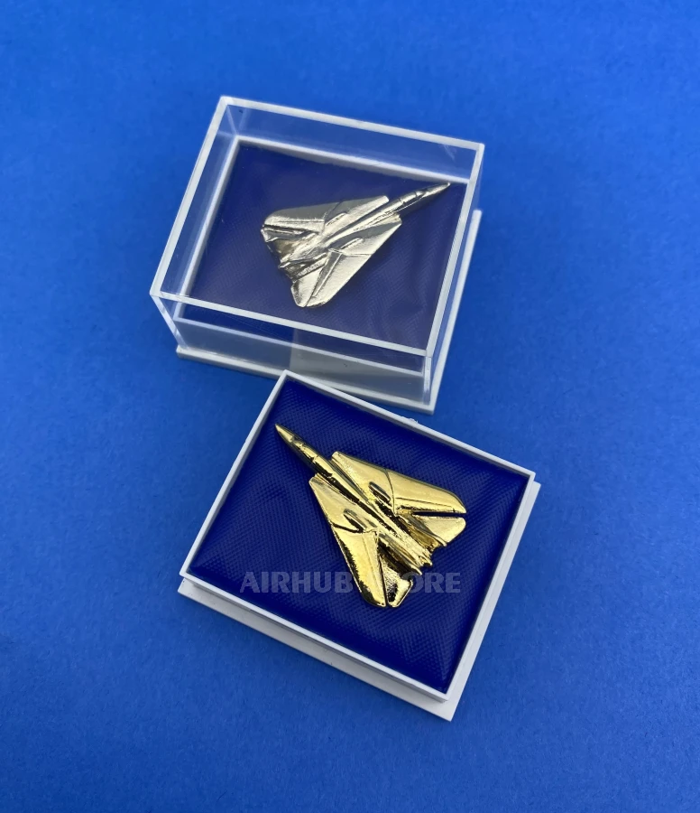 F-14 Tomcat Pin in box